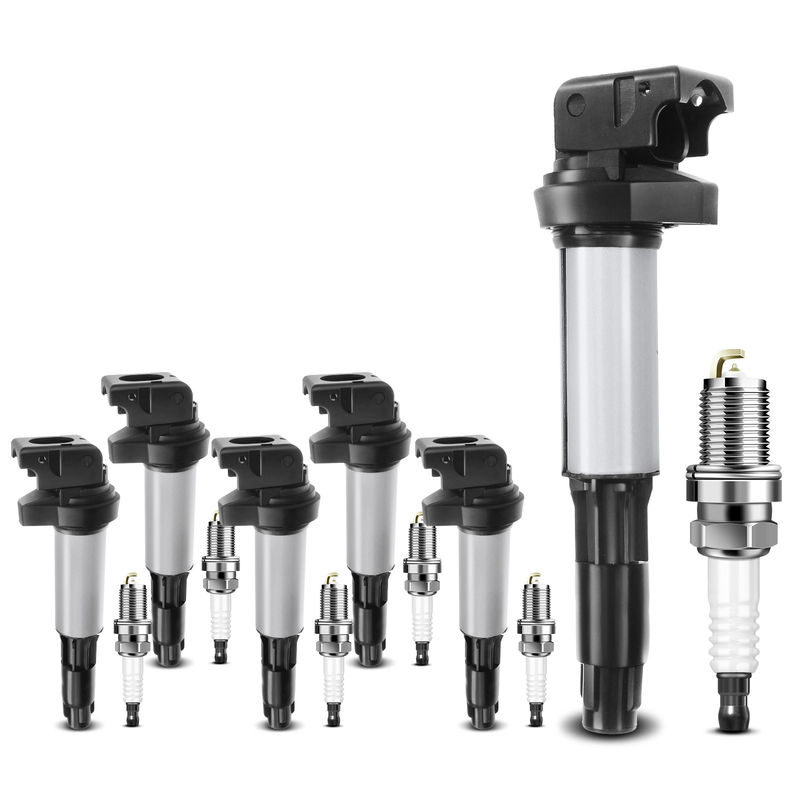 6x Ignition Coil & IRIDIUM Spark Plug Kits for BMW E46 E60 E65 E83 320i M3 X5 Z4