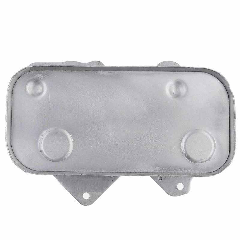 Engine Oil Cooler for Audi A6 Quattro A8 Quattro 99-06 RS6 S6 VW Phaeton V8 4.2L