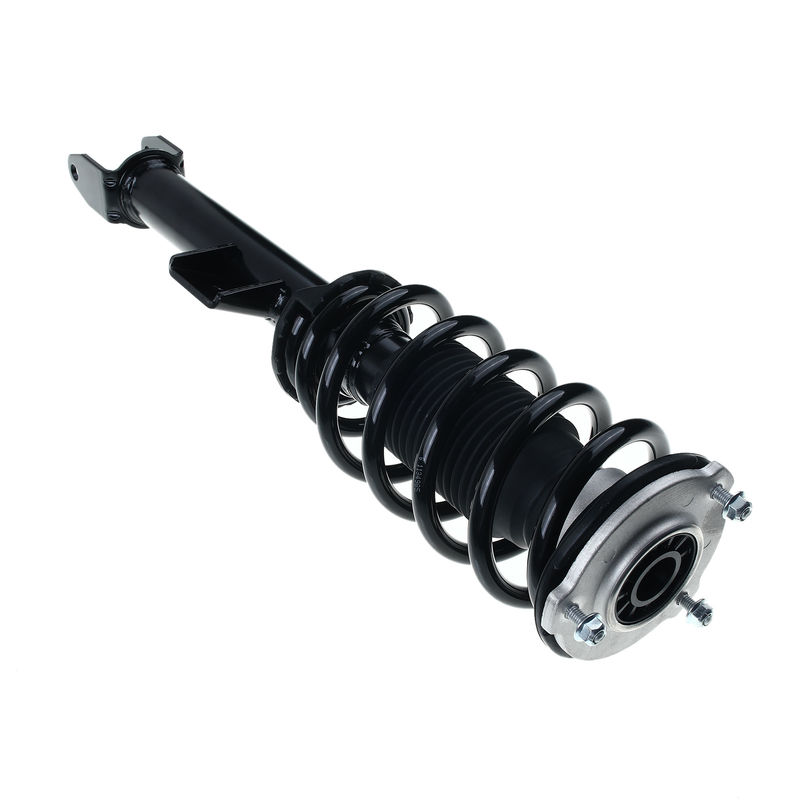 Front Driver Complete Strut & Coil Spring Assembly for Tesla 3 2017-2021 RWD