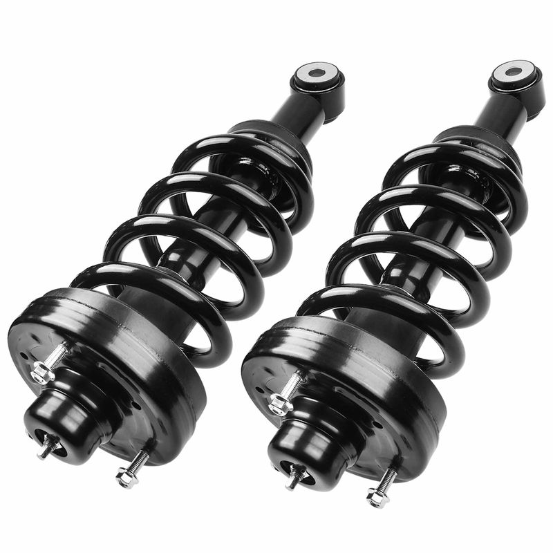 2x Rear Complete Strut & Coil Spring Assembly for Ford Expedition 10-17 Lincoln
