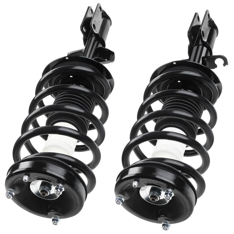 2x Front Complete Strut & Coil Spring Assembly for BMW E53 X5 2001-2004 L6 3.0L