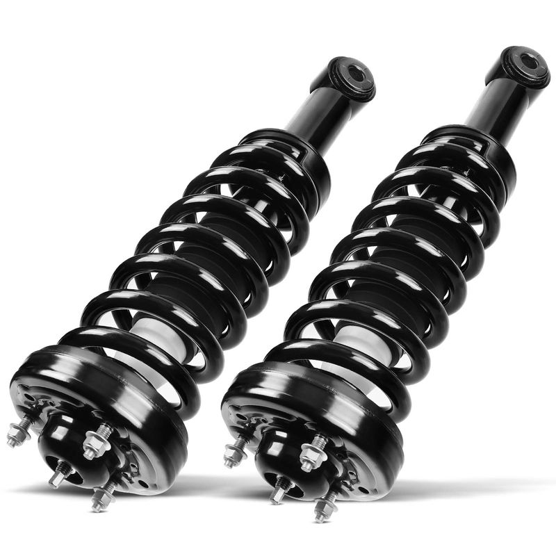2x Front Complete Strut & Coil Spring Assembly for Ford F-150 2009 2010-2013 RWD