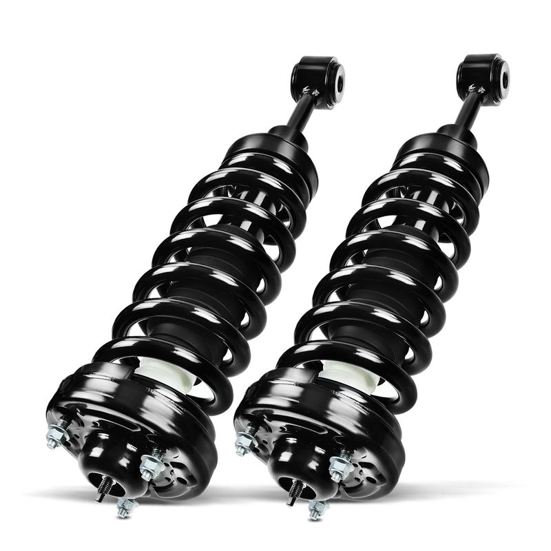 2x Front Complete Strut & Coil Spring Assembly for Ford F-150 Lincoln Mark LT
