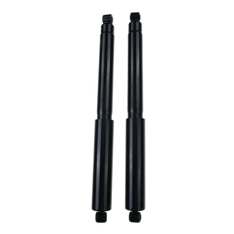 2x Rear Shock Absorber Strut for Ford F-150 1990-1996 F-250 1992-1996 4WD