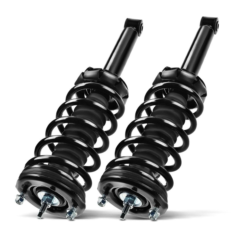 2x Rear Complete Strut & Coil Spring Assembly for Nissan Maxima 1995-1999 3.0L