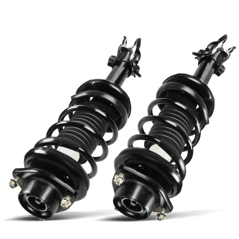 2x Rear Complete Strut & Coil Spring Assembly for Nissan Altima 1993 1994-1999