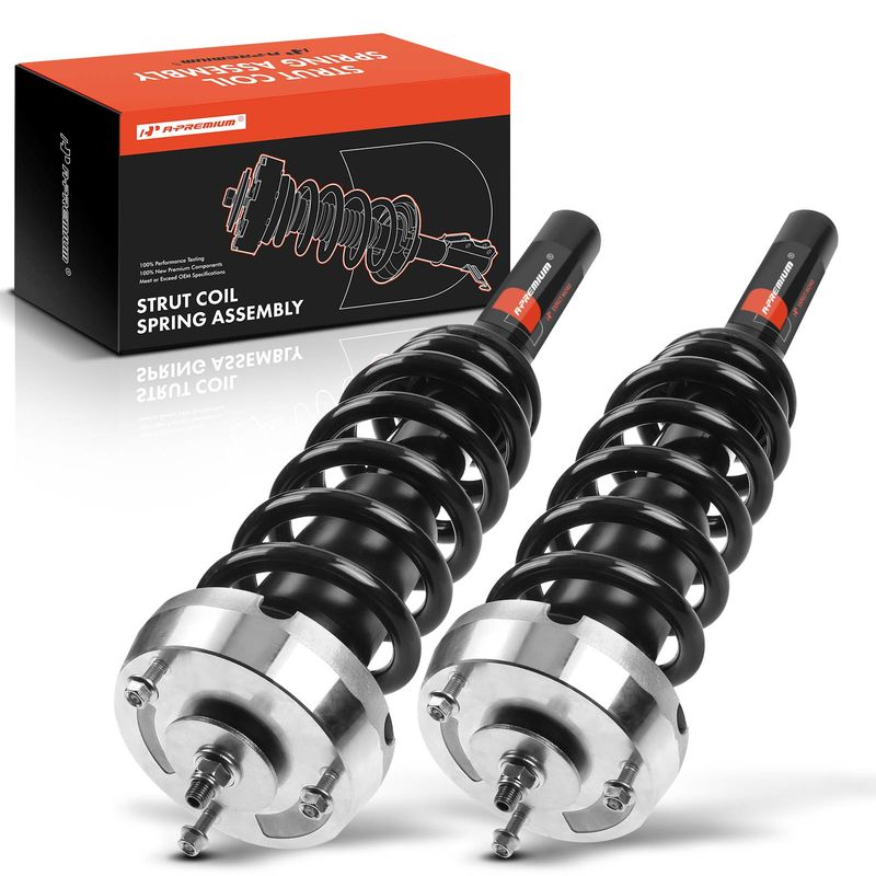 2x Front Complete Strut & Coil Spring Assembly for BMW E71/E72 X6 2008-2014 3.0L