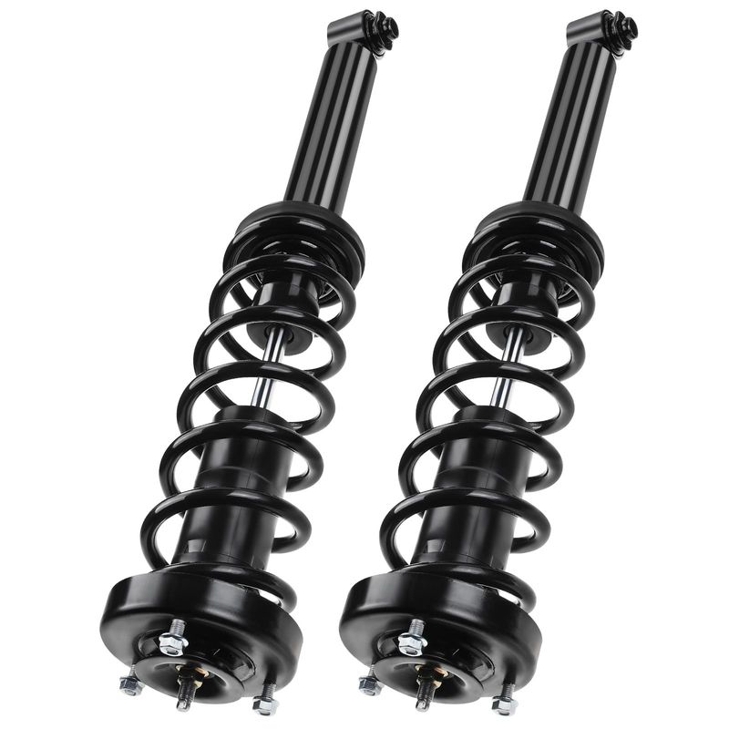 2x Rear Complete Strut & Coil Spring Assembly for BMW 525i 528i 530i 530i E39