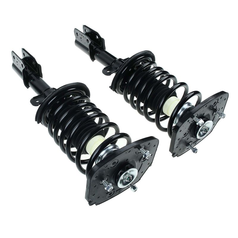 2x Rear Complete Strut & Coil Spring Assembly for Buick Century 97-05 Regal Pontiac