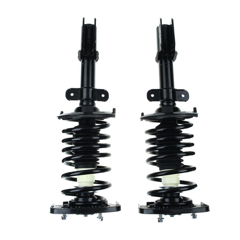 2x Rear Complete Strut & Coil Spring Assembly for Buick Century 97-05 Regal Pontiac