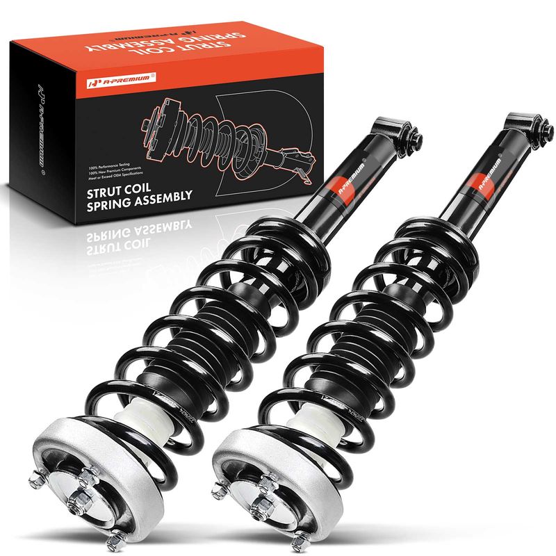 2x Rear Complete Strut & Coil Spring Assembly for BMW E60 525i 528i 530i 535i