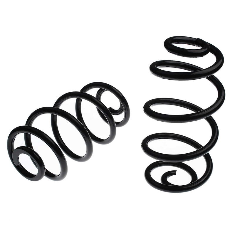 2x Rear Suspension Coil Springs for Audi A6 VW Passat 1.8T V6 TDI Sedan 96-05