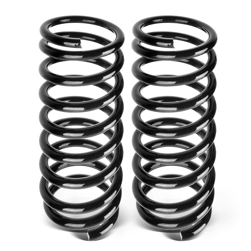 2x Rear Suspension Coil Springs for Nissan Maxima 1995-1999 V6 3.0L Sedan