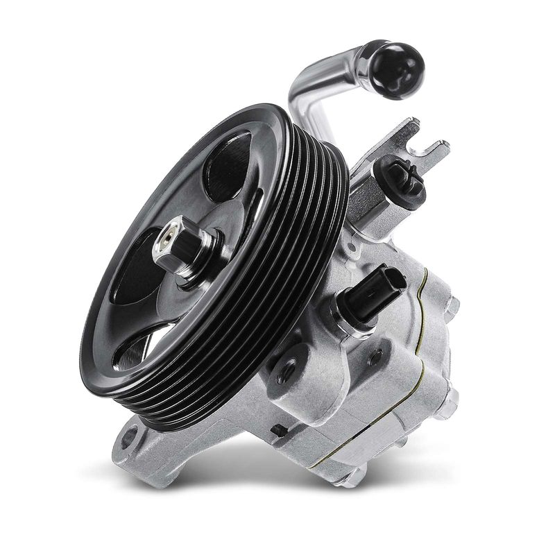 Power Steering Pump with Pulley for Kia Sedona 06-10 Hyundai Entourage 07-09