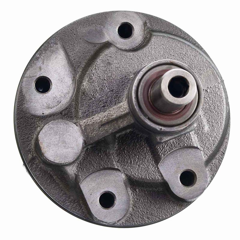 Power Steering Pump for Buick Century 1975-1979 Ford GMC Dodge Chevy Jeep