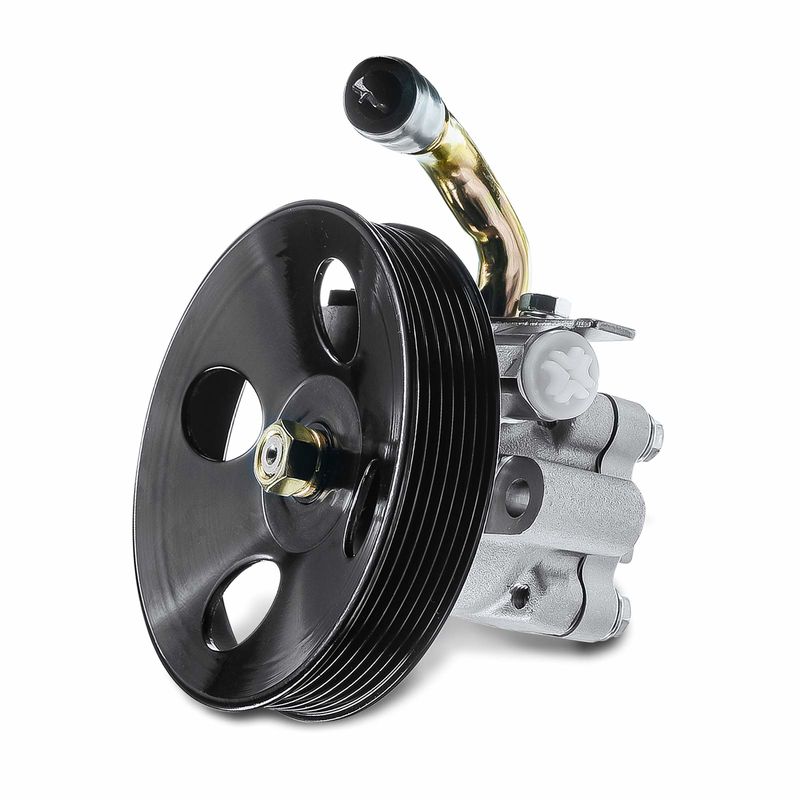 Power Steering Pump with Pulley for Hyundai Tucson Kia Sportage V6 2.7L