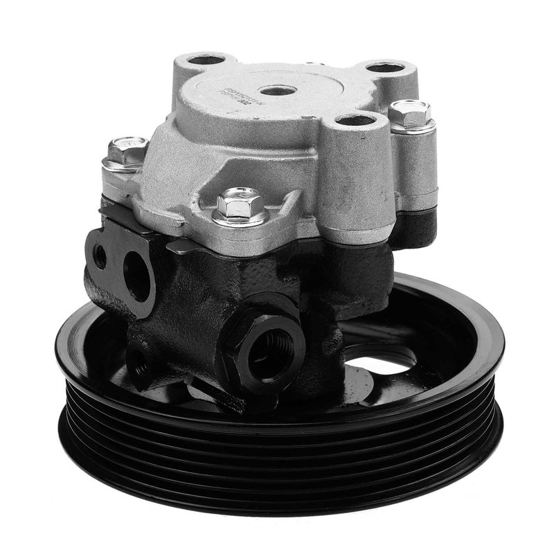 Power Steering Pump with Pulley for Dodge Durango 00-03 Dakota 00-04 4.7L